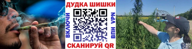 купить наркотик  Пионерский  Конопля семена 